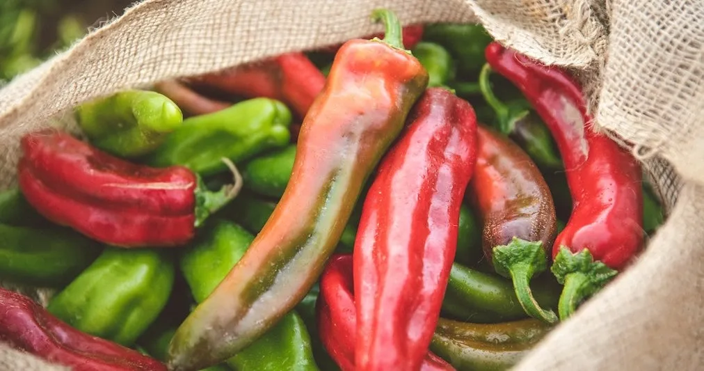 Red and green Hatch chile peppers from The Fresh Chile Company